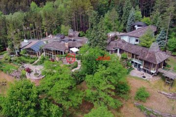 加拿大新移民多伦多买房须知|居外网