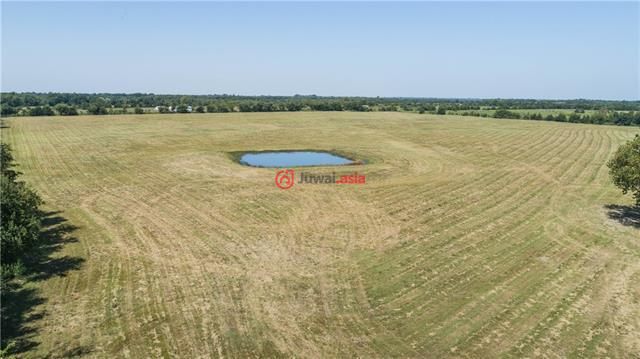 美国德克萨斯州巴黎的房产