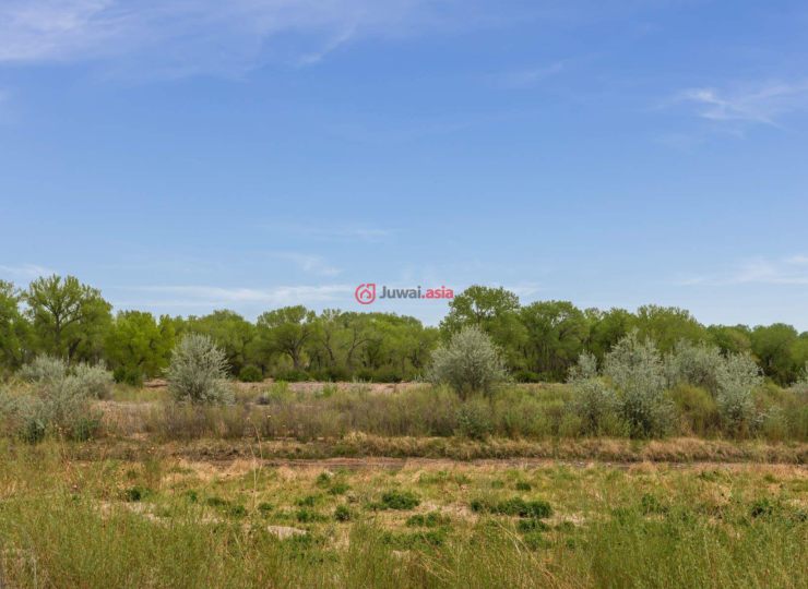 美国新墨西哥州Espanola的房产