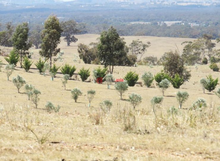 澳洲维多利亚州希思科特总占地186155平方米