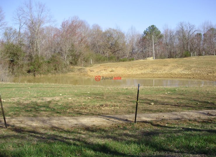 德惠gdp_把废弃秸秆 吃干榨尽 德惠做足循环经济文章(2)