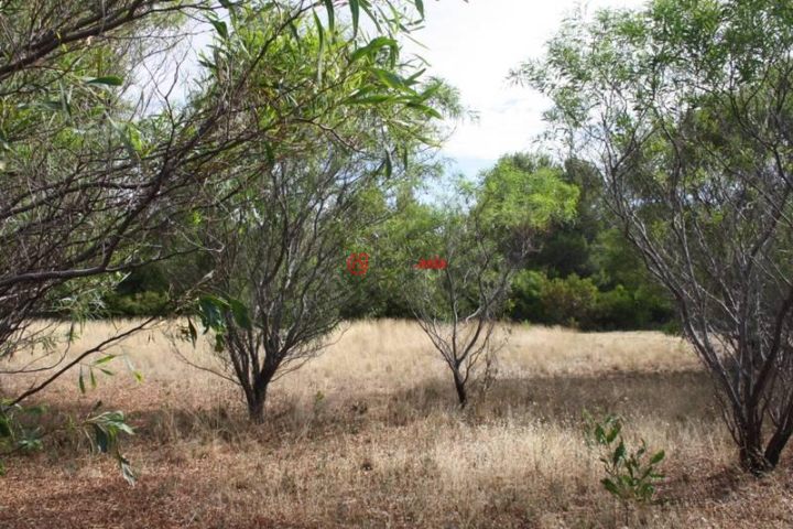 澳大利亚南澳大利亚clayton bay总占地1200平方米的土地
