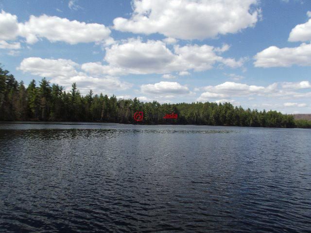 美国纽约州rainbow lake2卧1卫的房产
