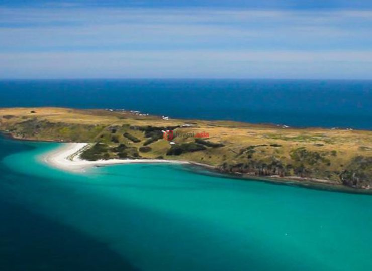 澳洲塔斯马尼亚waterhouse5卧2卫的房产